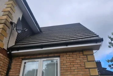 Professional roof cleaning service
