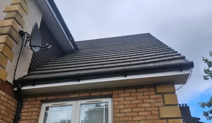Professional roof cleaning service