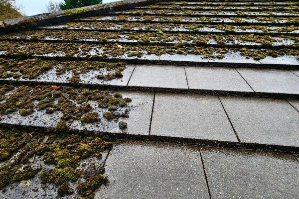 Homepage - Service - Roof Cleaning