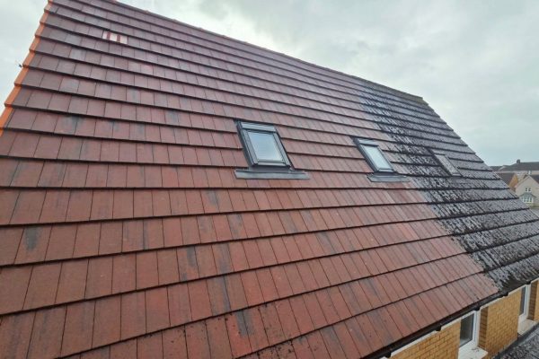 Softwash Render Algae Removal & UPVC Restoration in Paisley Page - Banner BG
